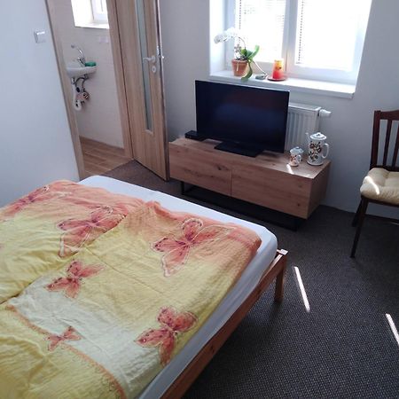 Ubytovani V Soukromi Libice Nad Cidlinou エクステリア 写真